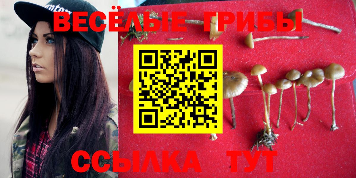 Галлюциногенные грибы мицелий Киржач