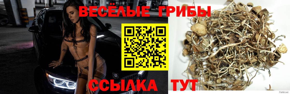 Галлюциногенные грибы прущие грибы  Вход с VPN  Псилоцибиновые грибы мухоморы  Киржач 